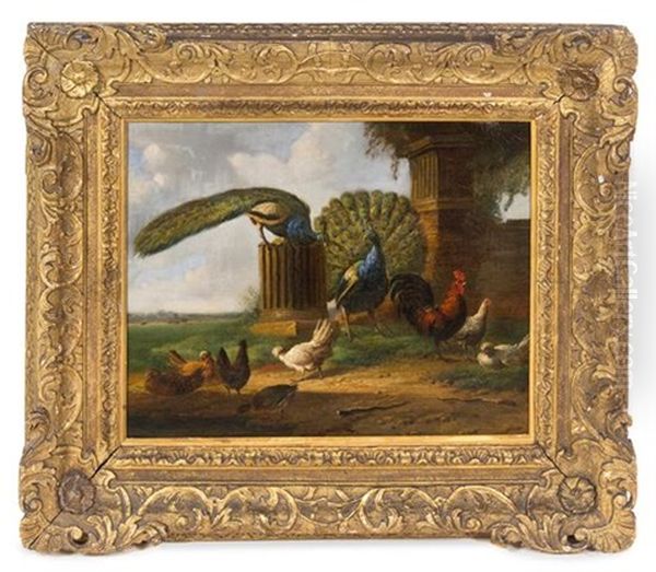 Landscape With Peacocks And Fowl by Albertus Verhoesen