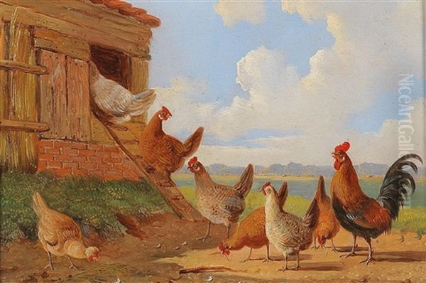 Cock And Hens In An Open Landscape Oil Painting by Albertus Verhoesen