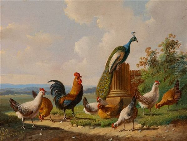 Chickens And A Peacock By A Column Oil Painting by Albertus Verhoesen