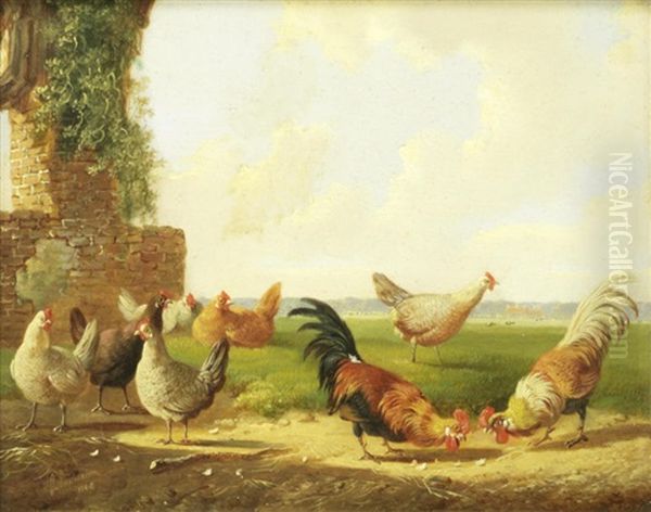 Farmyard Scenes With Poultry (4 Works) Oil Painting by Albertus Verhoesen