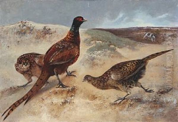 Heathland With Pheasants Who Discover A Hunting Dog Oil Painting by Charles Verlat