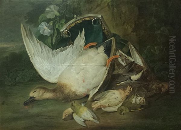 Nature Morte Aux Oiseaux Oil Painting by Jacob Xavier Vermoelen