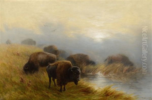 Grazing Buffalo Oil Painting by Frederick Arthur Verner