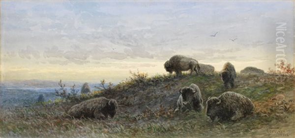 Buffalo Oil Painting by Frederick Arthur Verner