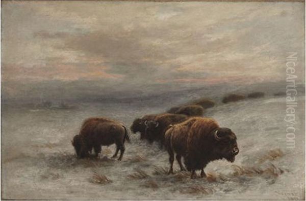 Bison Foraging In Winter by Frederick Arthur Verner