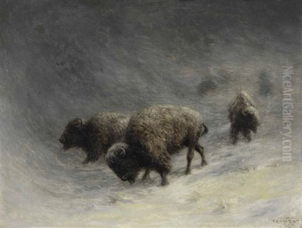 Buffalo In A Blizzard Oil Painting by Frederick Arthur Verner