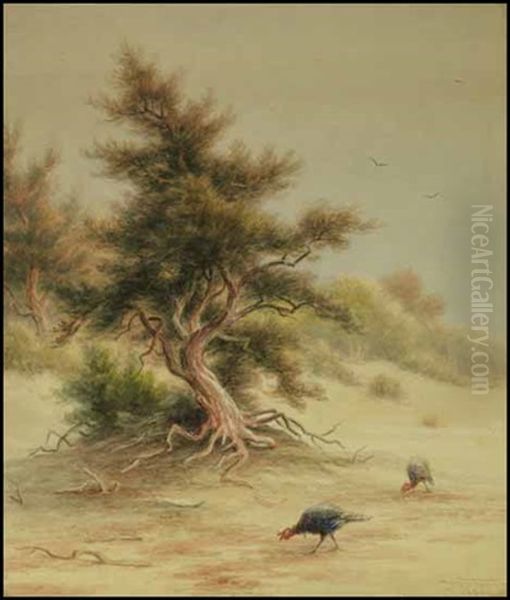 Wild Turkeys Beneath A Tree Oil Painting by Frederick Arthur Verner