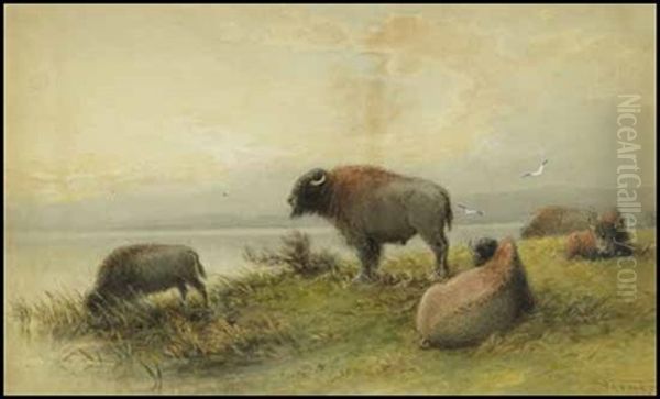 Bison - Evening Oil Painting by Frederick Arthur Verner