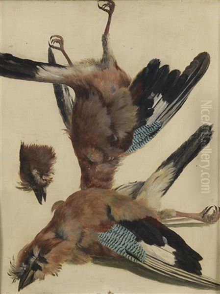 Study Of Jays Oil Painting by Emile Jean Horace Vernet