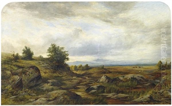 Weite Englische Landschaft Mit Vereinzelten Kuhen Und Schafen by William Henry Vernon