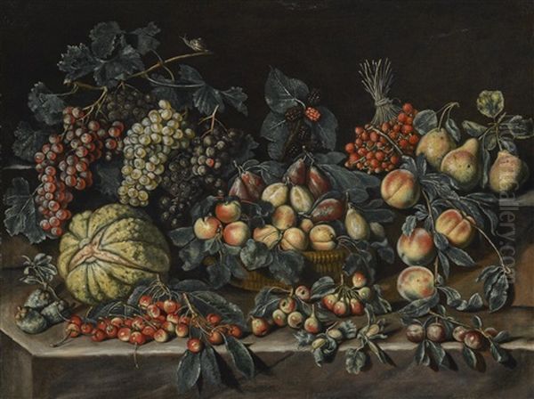 Still Life With Grapes, Melon, Peaches, Apricots, Prunes, Strawberry Trees And Berries Oil Painting by Agostino Verrocchi