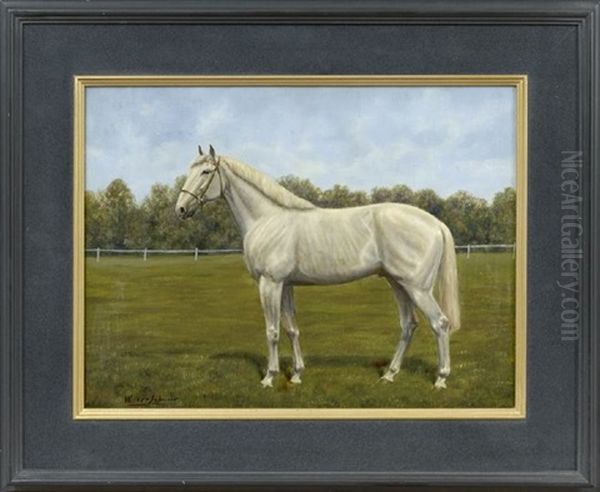 Portrait Of A White Horse Oil Painting by Wouter Verschuur the Younger