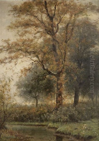 Paysage Aquatique Aux Arbres Oil Painting by Theodor Verstraete