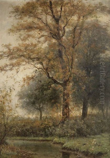 Paysage Aquatique Aux Arbres Oil Painting by Theodor Verstraete