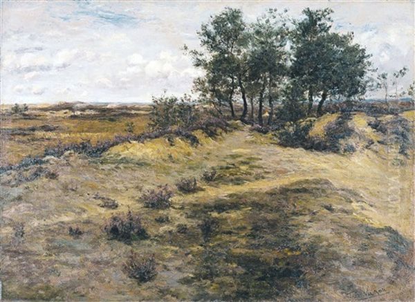 Les Dunes, Calmpthout Oil Painting by Theodor Verstraete