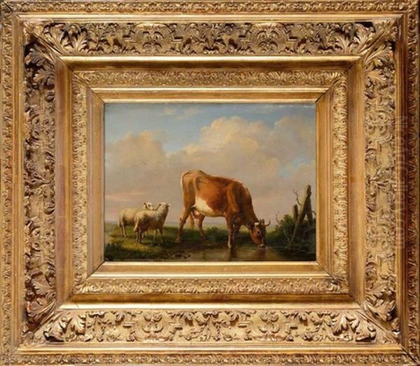 Vache Et Moutons Dans Les Paturages Oil Painting by Louis Pierre Verwee