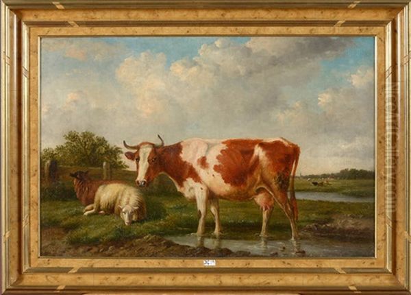 Vaches Et Moutons Au Pre Oil Painting by Louis Pierre Verwee