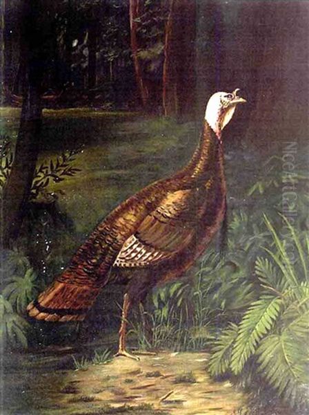 Turkey In The Woods Oil Painting by George Louis Viavant