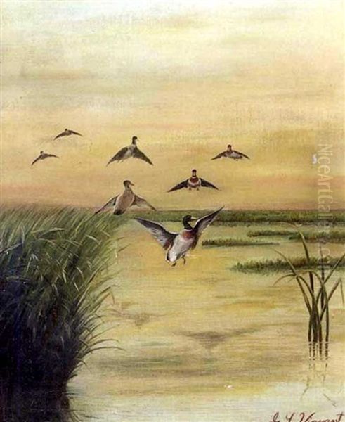 Flock Of Ducks In Flight Over A Louisiana Bayou Oil Painting by George Louis Viavant