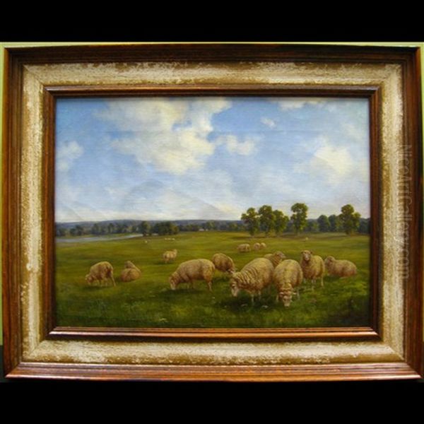 Grazing Sheep Oil Painting by Henry Harold Vickers