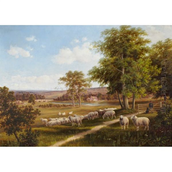 Shepherd With Sheep Oil Painting by Henry Harold Vickers