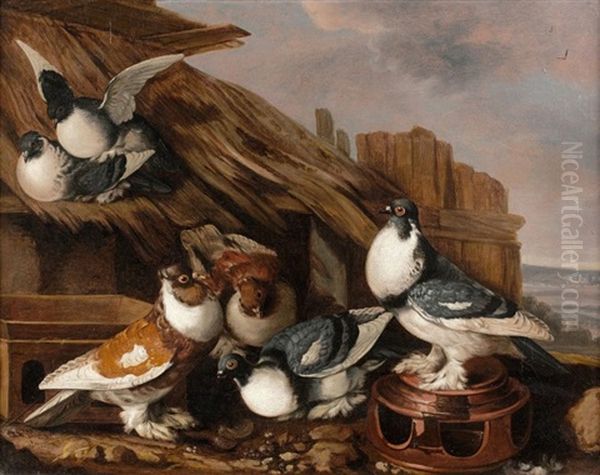 Pigeons Sur Un Toit Oil Painting by Giacomo (Jacobus) Victors