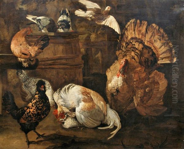 Nature Morte Aux Dindon, Coqs, Pigeons Et Poules Dans Une Basse -cour Oil Painting by Giacomo (Jacobus) Victors