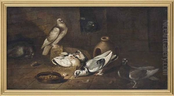 Pigeons In An Interior by Giacomo (Jacobus) Victors