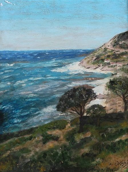 Paesaggio Sul Mare Oil Painting by Coriolano Vighi