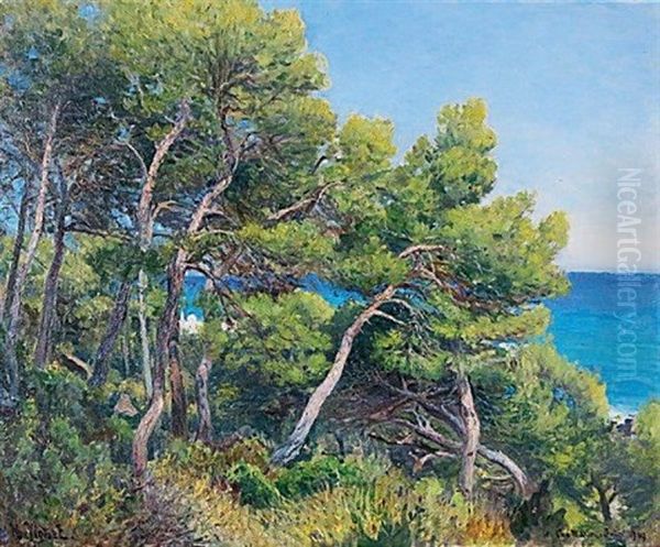 Les Pins Au Cap Martin Oil Painting by Henri Vignet