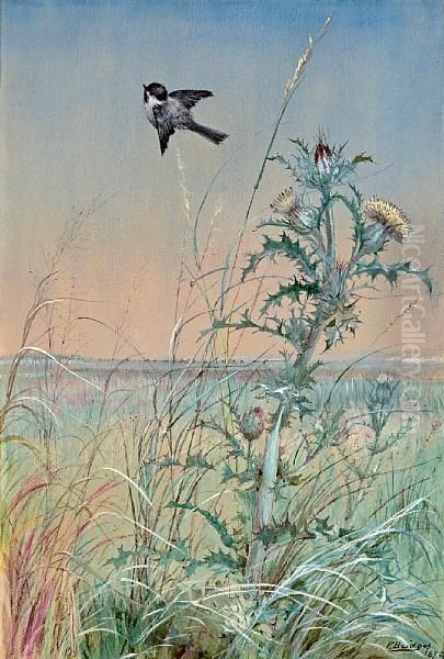 Chickadee And Thistle Oil Painting by Fidelia Bridges