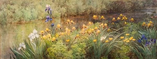 Irises Along The River Oil Painting by Fidelia Bridges