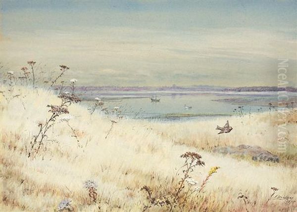 A View From The Marsh, Stratford, Connecticut Oil Painting by Fidelia Bridges