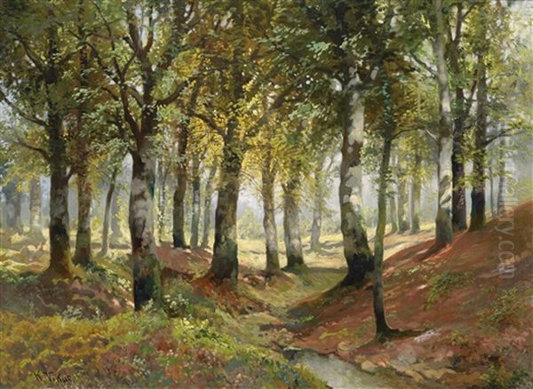 Sonnendurchflutete Waldlandschaft Oil Painting by Karl Vikas