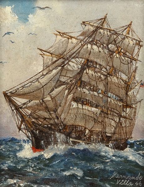 Ship In Rough Seas by Hernando Gonzallo Villa