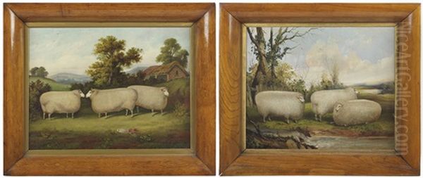 Sheep In A Landscape Oil Painting by John Vine