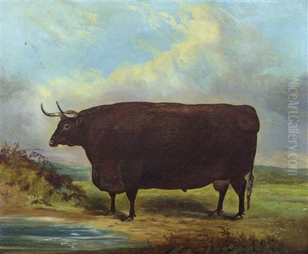 Long Horn Bull Oil Painting by John Vine