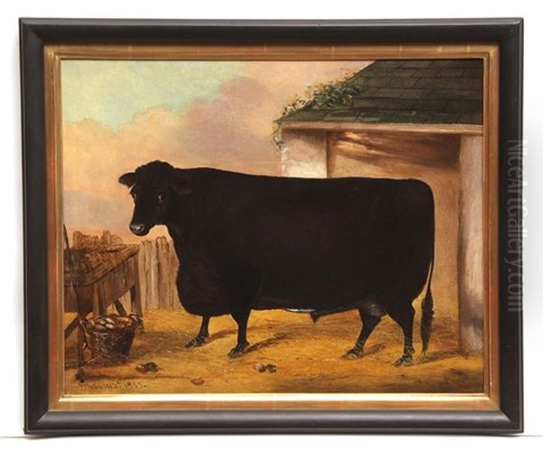 Primitive Black Bull Oil Painting by John Vine