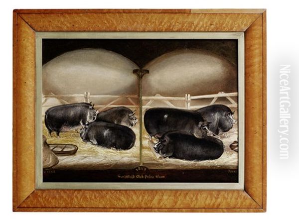 Six Prize Berkshire Pigs Oil Painting by John Vine