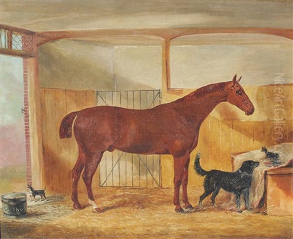 Stable Scene With Stallion, Chihuahua And Mutt Oil Painting by John Vine