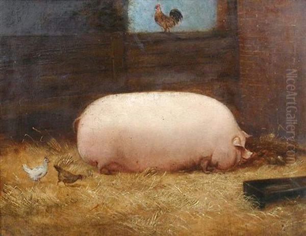 Victoria, A Prize Pig Oil Painting by John Vine