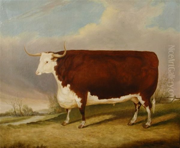 A Hereford Bull In A Landscape Oil Painting by John Vine