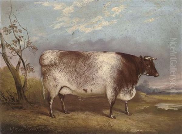 A Prize Cow Oil Painting by John Vine