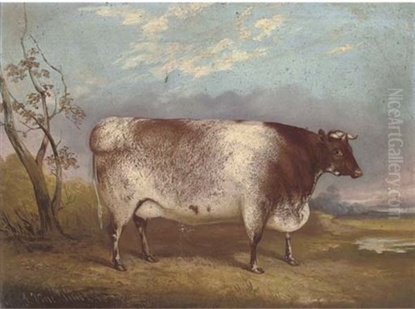 A Prize Cow Oil Painting by John Vine