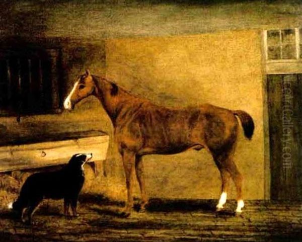 Portrait Of A Chesnut Horse And A Collie In A Loosebox Oil Painting by John Vine