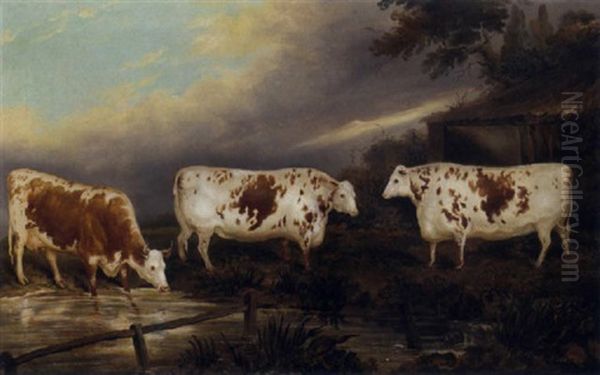 Holderness Cattle In A Landscape by John Vine