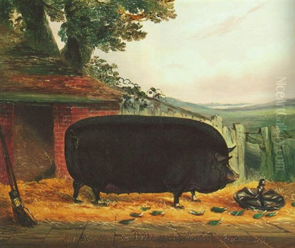 A Large Black Sow, 'negress 11