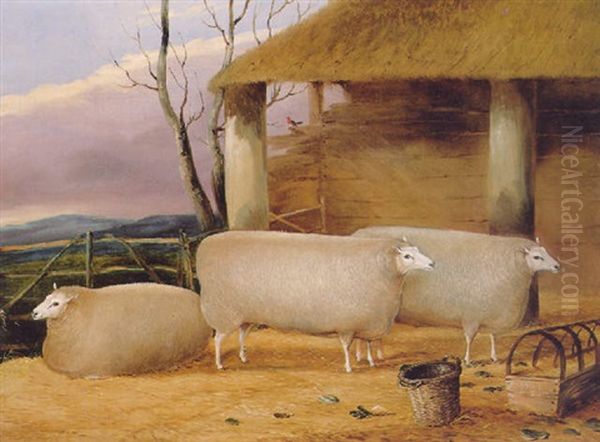 Three Sheep In A Byre Oil Painting by John Vine