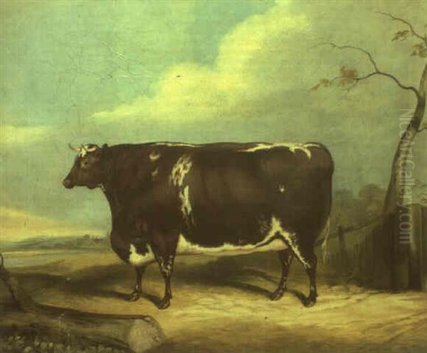 A Brown And White Prize Bull In A Landscape Oil Painting by John Vine