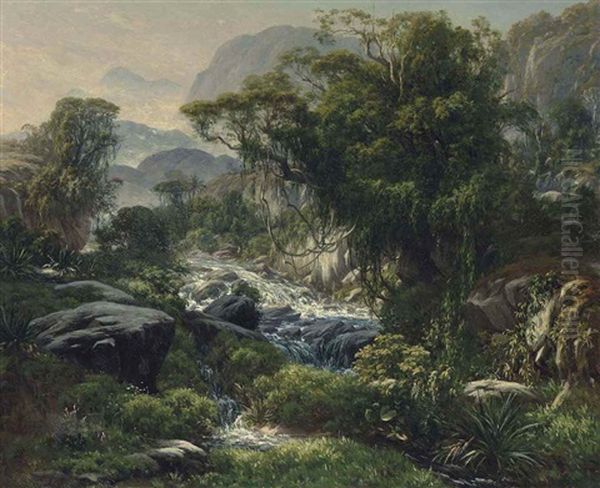 A Mountain Stream In The Rainforest Above Rio De Janiero Oil Painting by Henri Nicolas Vinet